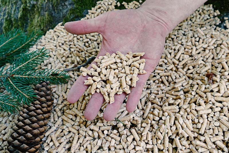 Des granulés de bois feuillus ou résineux : comment choisir ?