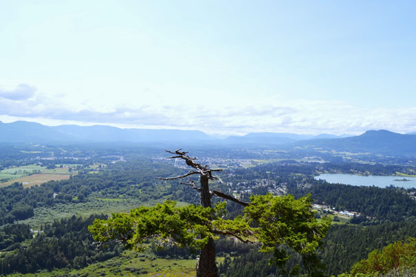 Mont Tzouhalem